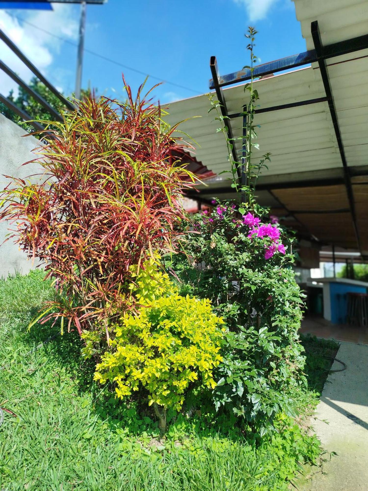 Mountain View Hostel San Peregrino 외부 사진